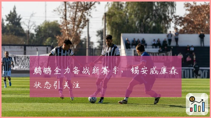 鹈鹕全力备战新赛季，锡安威廉森状态引关注